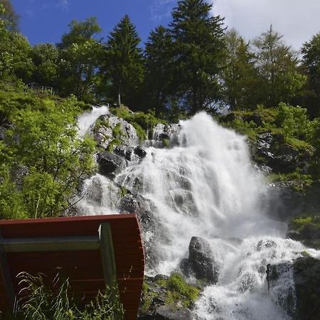 Waldlicht Titisee Екстер'єр фото