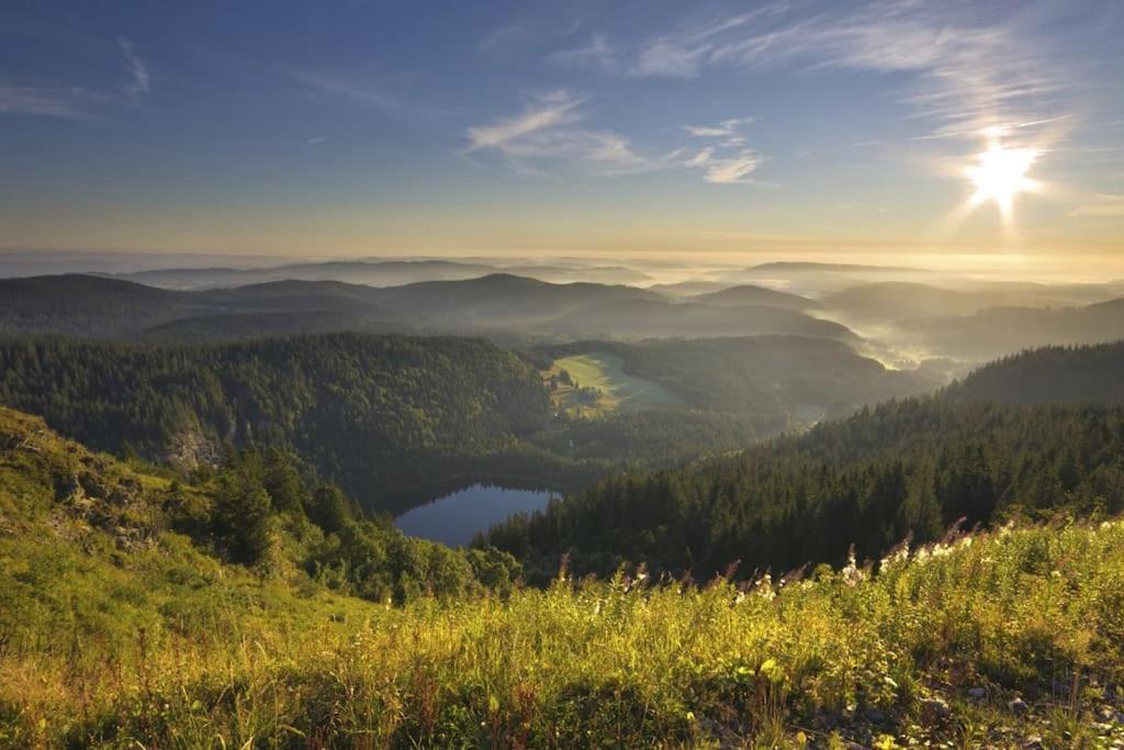 Waldlicht Titisee Екстер'єр фото