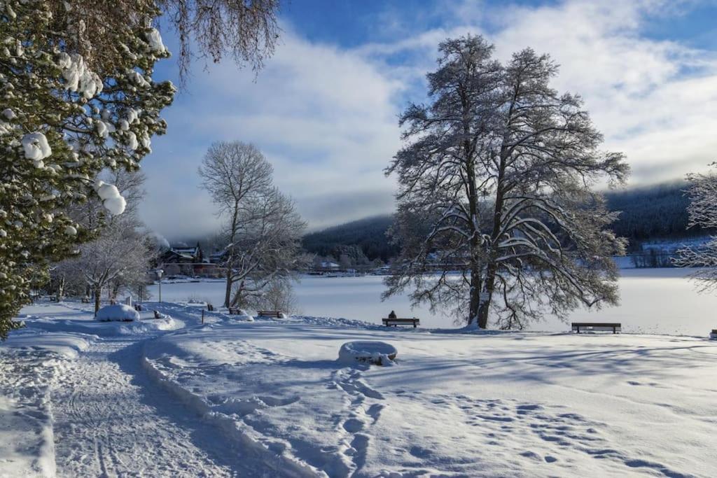 Waldlicht Titisee Екстер'єр фото