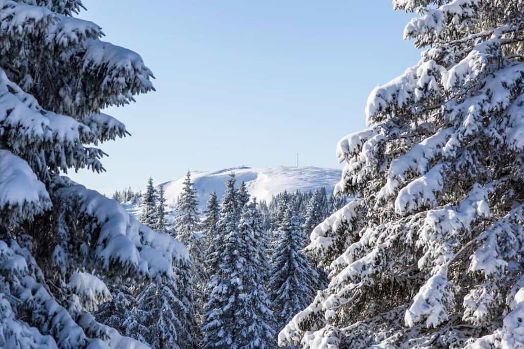 Waldlicht Titisee Екстер'єр фото