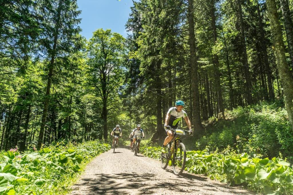 Waldlicht Titisee Екстер'єр фото