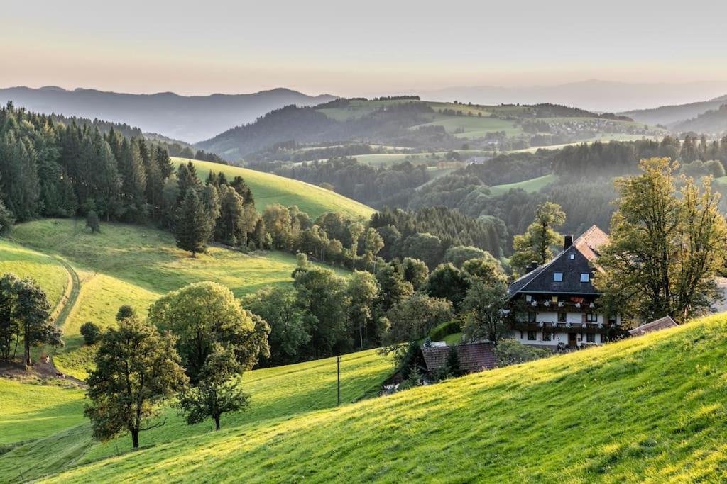 Waldlicht Titisee Екстер'єр фото